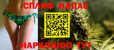 прущие грибы Моздок