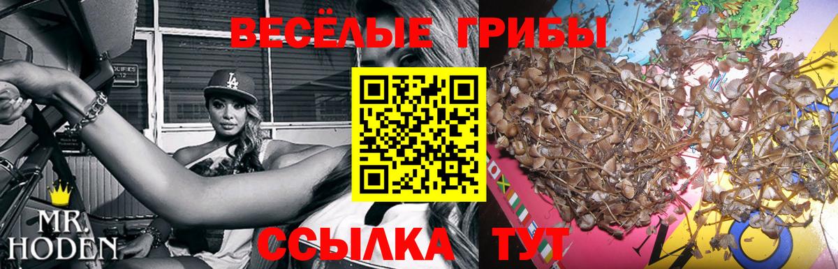 Ростов Великий  Галлюциногенные грибы ЛСД  Вход с VPN 